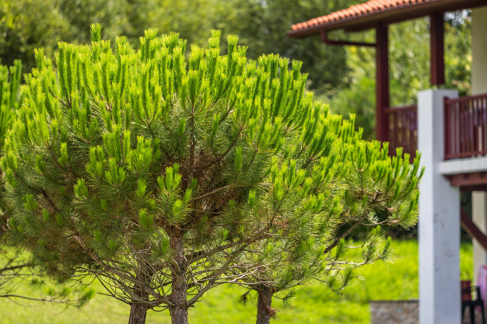 Résidence Prestige Odalys Domaine Iratzia San Juan de Luz Exterior foto